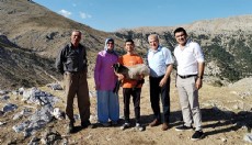 Hibe destekle başladı, 186 koyun yetiştirdi