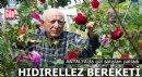 Hıdırellez bereketi: Antalya’da gül satışları patladı