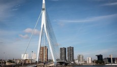 Hollanda'da iki tramvay çarpıştı: 15 yaralı