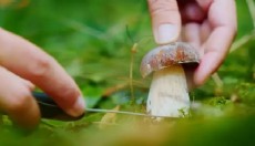 İki kardeşiyle gittiği ormanda kayboldu