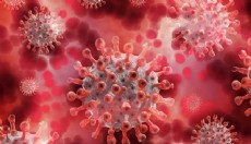 İnfluenza Türkiye’de yayılıyor