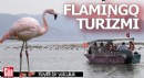 İzmir'de 'Flamingo Yolu' turu