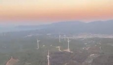 İzmir Urla'daki orman yangını sürüyor