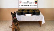Jandarmadan uyuşturucu operasyonu