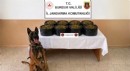 Jandarmadan uyuşturucu operasyonu