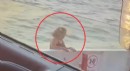 Kadın yolcunun feribottan atladığı anlar kamerada