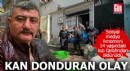 Kan donduran olay! 14 yaşındaki kızı tarafından öldürüldü