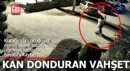 Kan donduran vahşet!