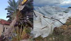 Kaş'ta fırtınadan seralar zarar gördü, ağaçlar devrildi