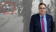 Kedileri beslerken şoka uğradı: Yolu kapattın dayağı