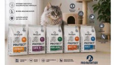 Kedinizin Sağlığı İçin Özel Destek: Pro Nutrition Protect Veterinary Serisi Rehberi