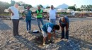 Kemer'de 38 deniz kaplumbağası yuvası korumaya alındı