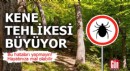 Kene yapıştığında bu hataları sakın yapmayın!