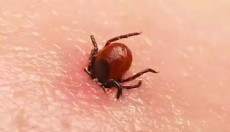 Kenenin ısırdığı 2 çocuk babası öldü