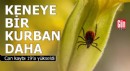 Keneye bir kurban daha