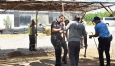 Kepez’de izinsiz kurban satışına sıkı denetim