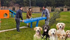 Kepez'den evcil dostlara oyun parkı