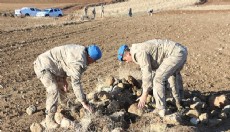 Kesik baş ile bıçağın bulunması için her taşın altı kontrol ediliyor