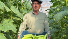 Kiev’den Türk üreticiye gümrük duvarı