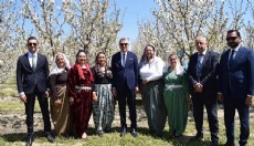 Kiraz çiçeği foto safari etkinliği