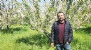 Kirazda don riski atlatıldı, rekolte beklentisi yükseldi