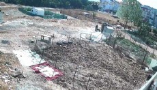 Köpek işkenceyle öldürüldü iddiası