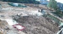 Köpek işkenceyle öldürüldü iddiası