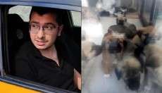 Köpekleri öldüren doktorun cezası belli oldu