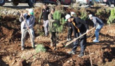 Korkuteli'de Hz. Muhammed Hatıra Ormanı kuruldu