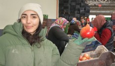 Korkuteli'den nar ihracatı başladı