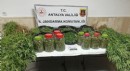 Korkuteli'nde 43 kilo uyuşturucu ele geçirildi