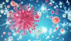 Küresel sağlık riskleri artıyor: 3 tehlikeli virüs