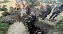 Kuyuya düşen inek kurtarıldı