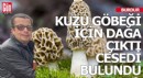 Kuzu göbeği için dağa çıktı ölü bulundu
