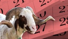 Liderlerin Kurban Bayramı programı belli oldu