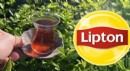 Lipton resmen çekildi: Çay üretimini kime devretti
