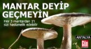 Mantar deyip geçmeyin: Her 3 mantardan 1'i sizi hastanelik edebilir