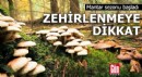Mantar sezonunda zehirlenmeye dikkat!