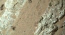 Mars'ta yaşam izi bulundu