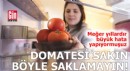 Meğer yıllardır hata yapıyormuşuz! Domatesi sakın böyle saklamayın
