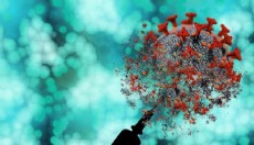 Mpox virüsünün yeni bir varyantı tespit edildi