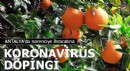 Narenciye ihracatına koronavirüs dopingi