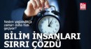 Neden yaşlandıkça zaman daha hızlı geçiyor?