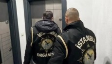Organize suç örgütüne operasyon: 37 gözaltı