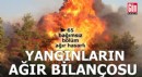 Orman yangınlarının ağır bilançosu!