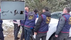 Ormanda bulunan kafatası ve kemikler 2 kadına ait çıktı