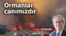 Ormanlar canımızdır