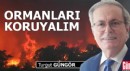 Ormanları koruyalım