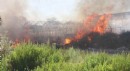 Antalya'da otluk alandaki yangında 12 araç zarar gördü