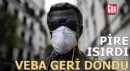 Pire ısırdı: Veba geri döndü